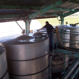 Gulliermo-Winery-001-480x480